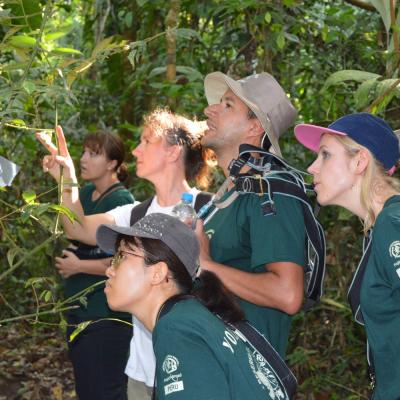 Volunteers on a bird watching expedition as part of their Conservation Project in Peru Projects Abroad volunteers bird watching on their Spring Break Conservation Project in Peru